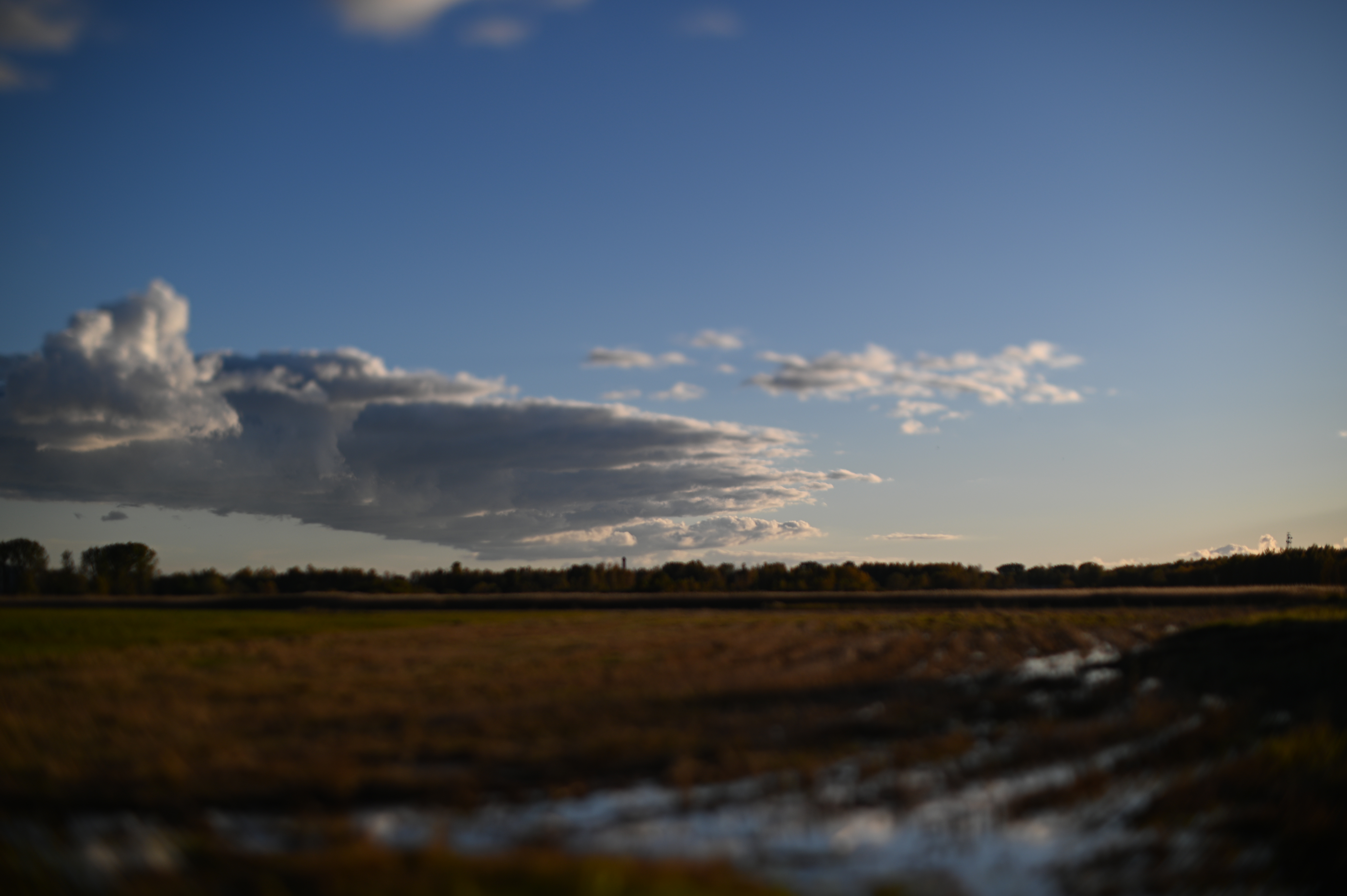 2025/10/18 - walk/DSC_0188.JPG